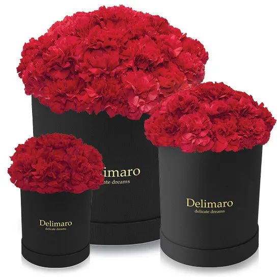 Red carnations in a black box (Small)