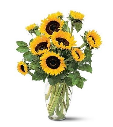 Sunflowers. Vase included