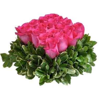 Roses square