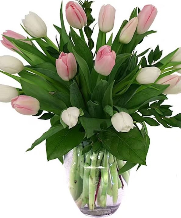 Blush of Spring (As Shown)