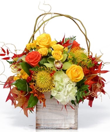 Bountiful Beauty (Starting At
Smaller, fewer flowers)