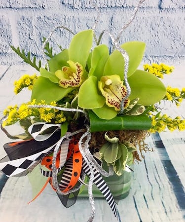 Green Goblin (Starting At -- Smaller, less blooms)