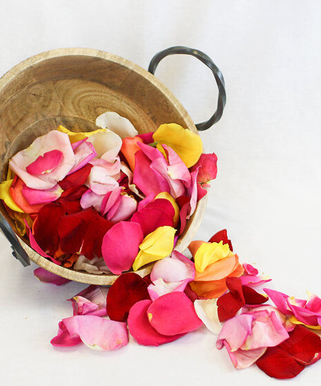 Rose Petals (One Bag)