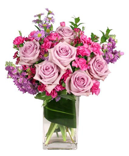 LAVENDER LUXURY (Standard)