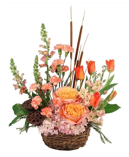 SERENE SUNSET BASKET ARRANGEMENT (Standard)