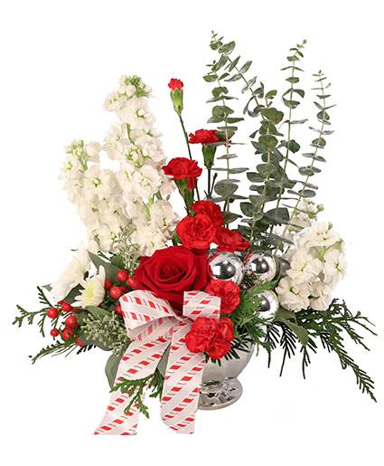 CANDY CANE CARNATIONS CHRISTMAS ARRANGEMENT (Standard)
