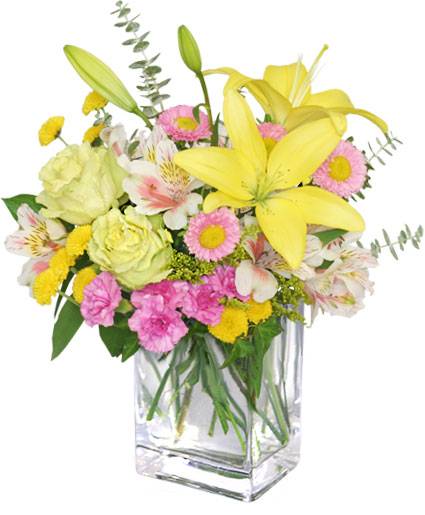 FLORAL FRESHNESS (Standard)