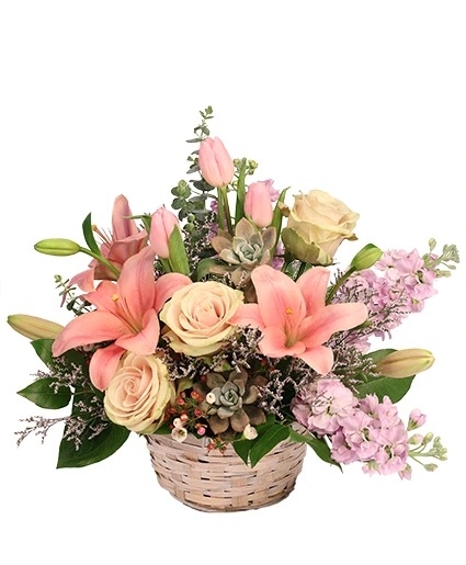 SOFT EMBRACE - BASKET ARRANGEMENT (Standard)