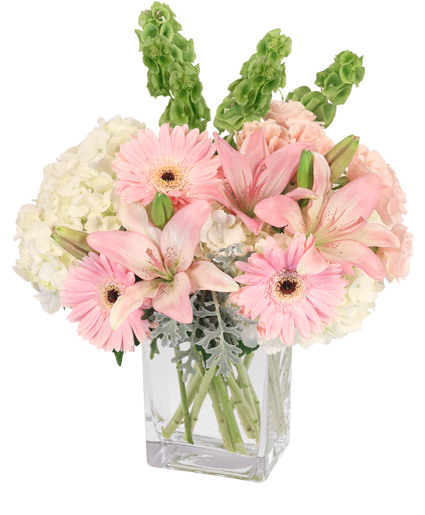 PINK PRINCESS (Standard)