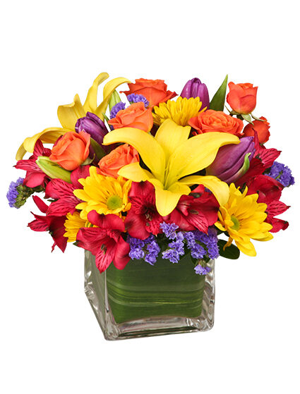 SUN-INFUSED FLOWERS (Standard)