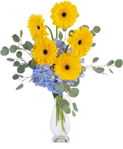 YELLOW BLUES (Standard)