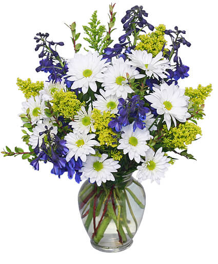 LAZY DAISY and DELPHINIUM (Standard)