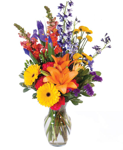 VIBRANT MEADOW (Standard)