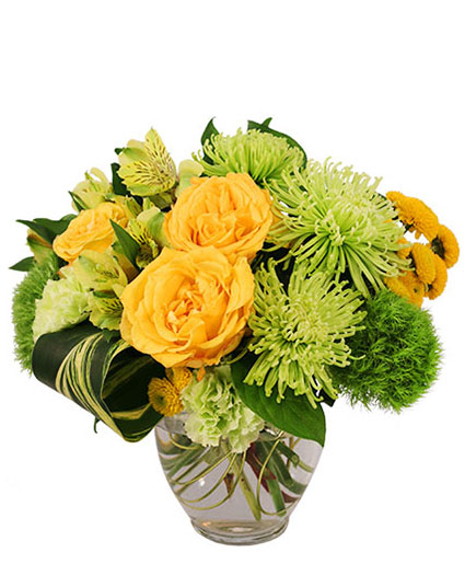 LUSH LEMON ROSES (Standard)