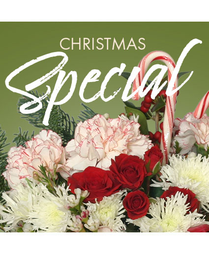 Christmas Special Designer'S Choice (Standard)