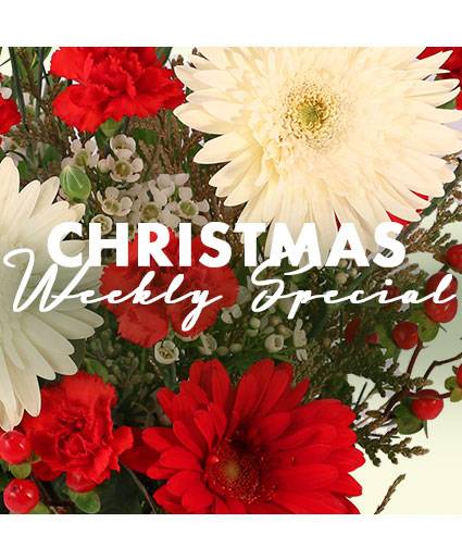 CHRISTMAS ARRANGEMENT DESIGNER'S CHOICE (Standard)