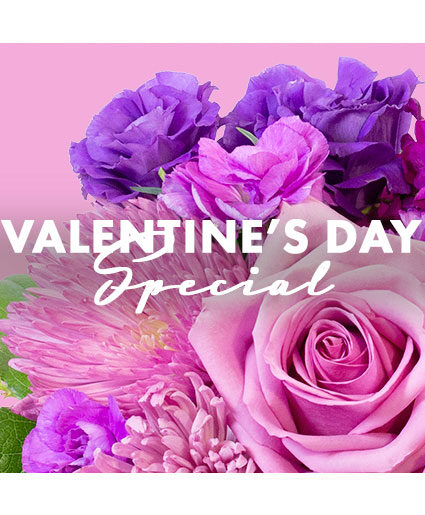 VALENTINE'S DAY SPECIAL_x000D_
DESIGNER'S CHOICE (Standard)