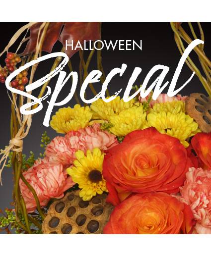 Halloween Special Designer's Choice (Standard)