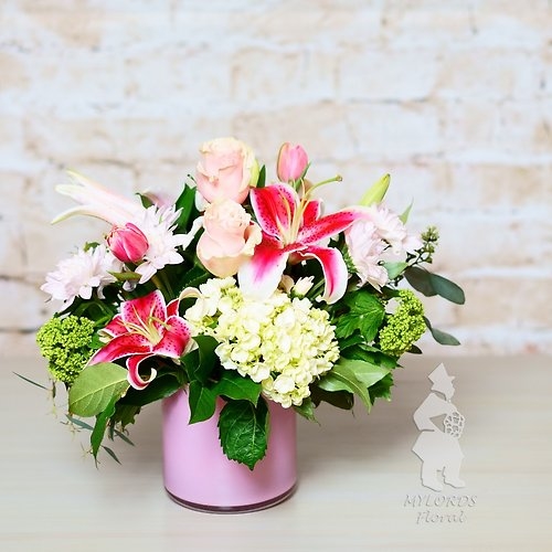 Lily Lush (As Shown)