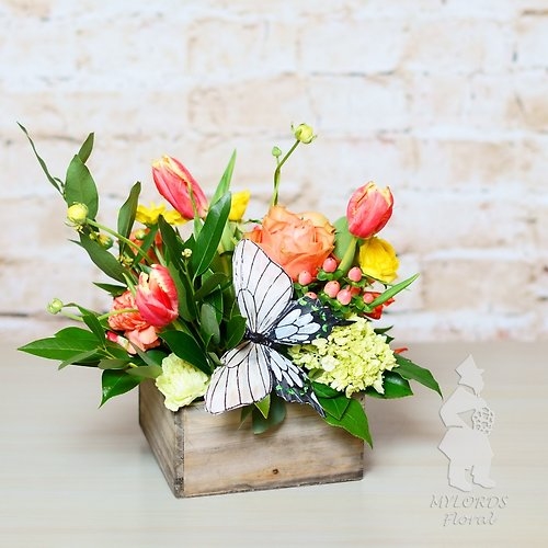 Butterfly Bliss (As Shown)