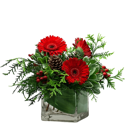 Berry and Bright (As Shown)