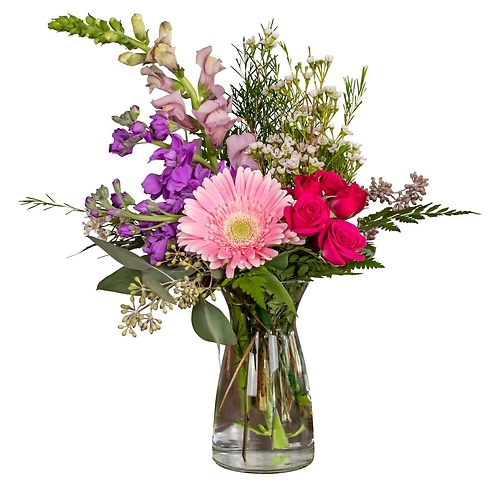 Daisy Delight (Starting at)