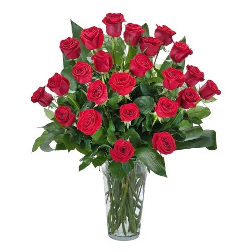 Grande Roses (Standard)