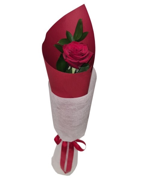 Single Premium Red Rose