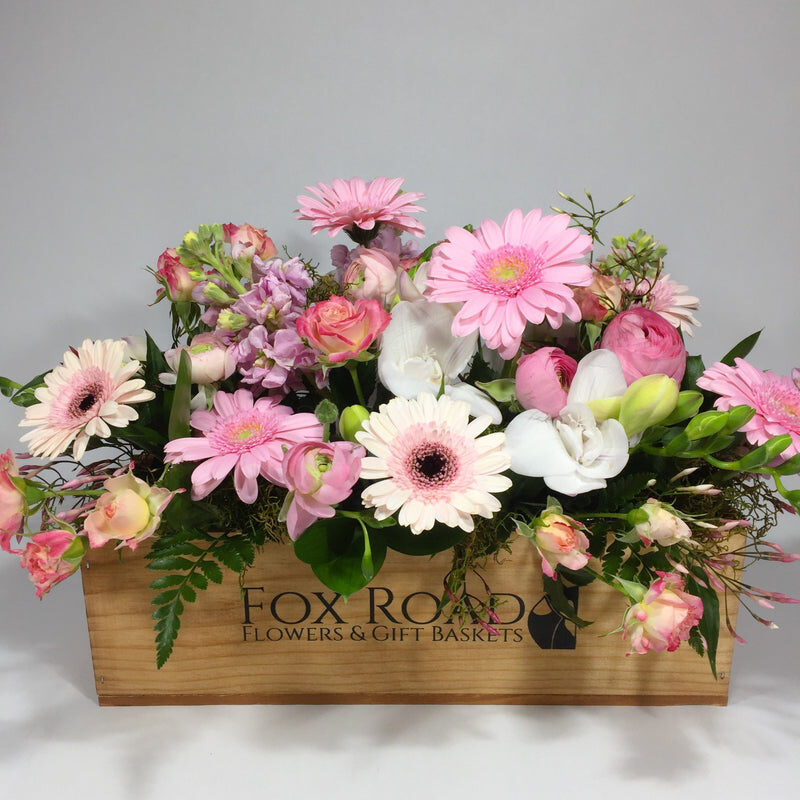 Cottage Garden