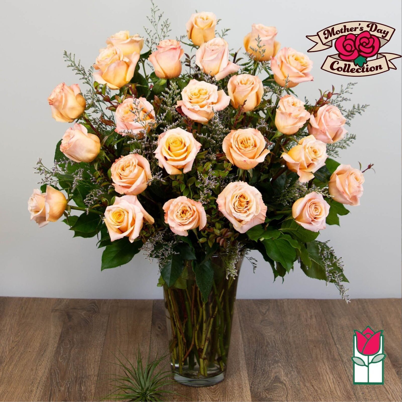 Beretania's 2 Doz. Extra Long Stem Peach Rose Bouquet (Standard)
