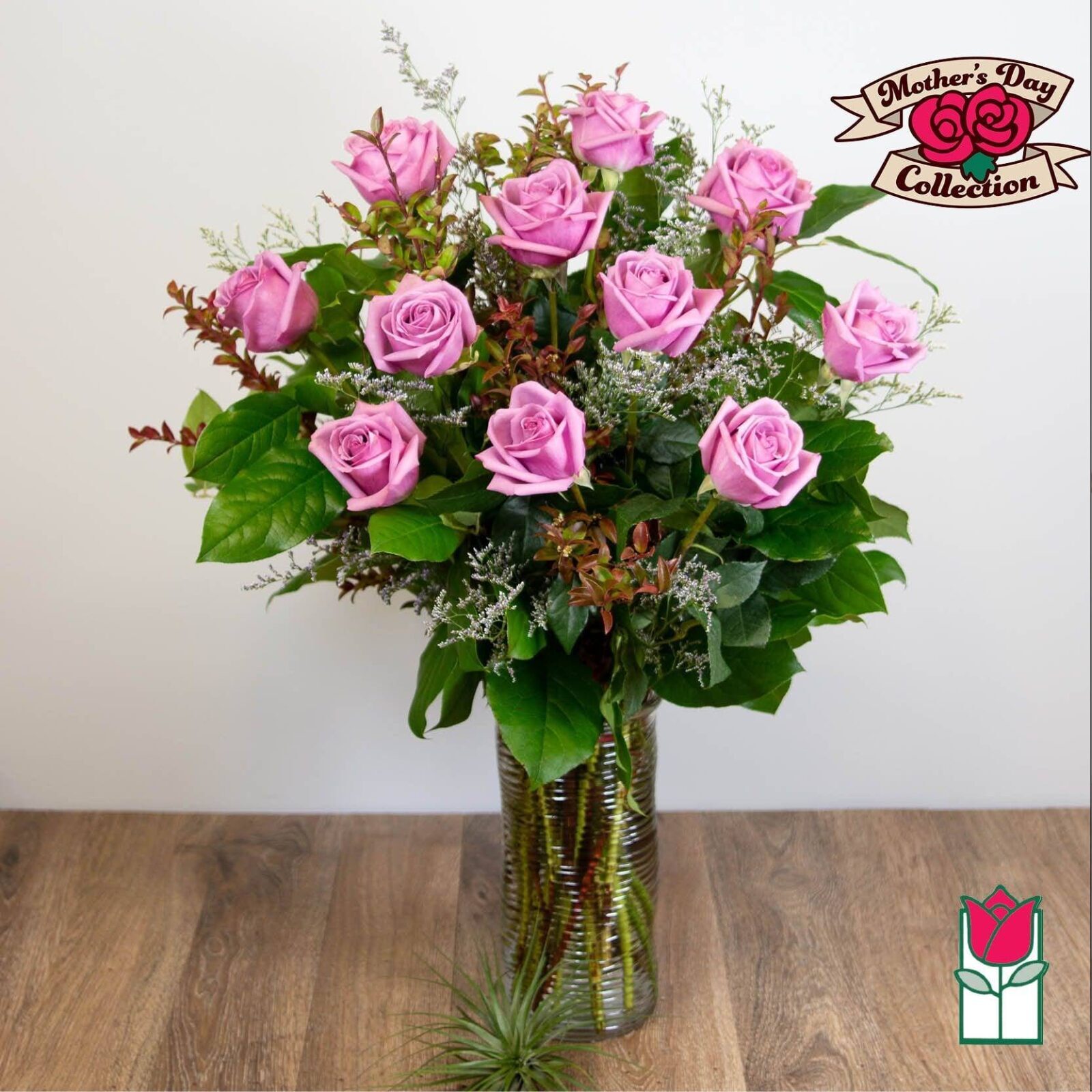Beretania's Extra Long Stem Lavender Rose Masterpiece (Standard)