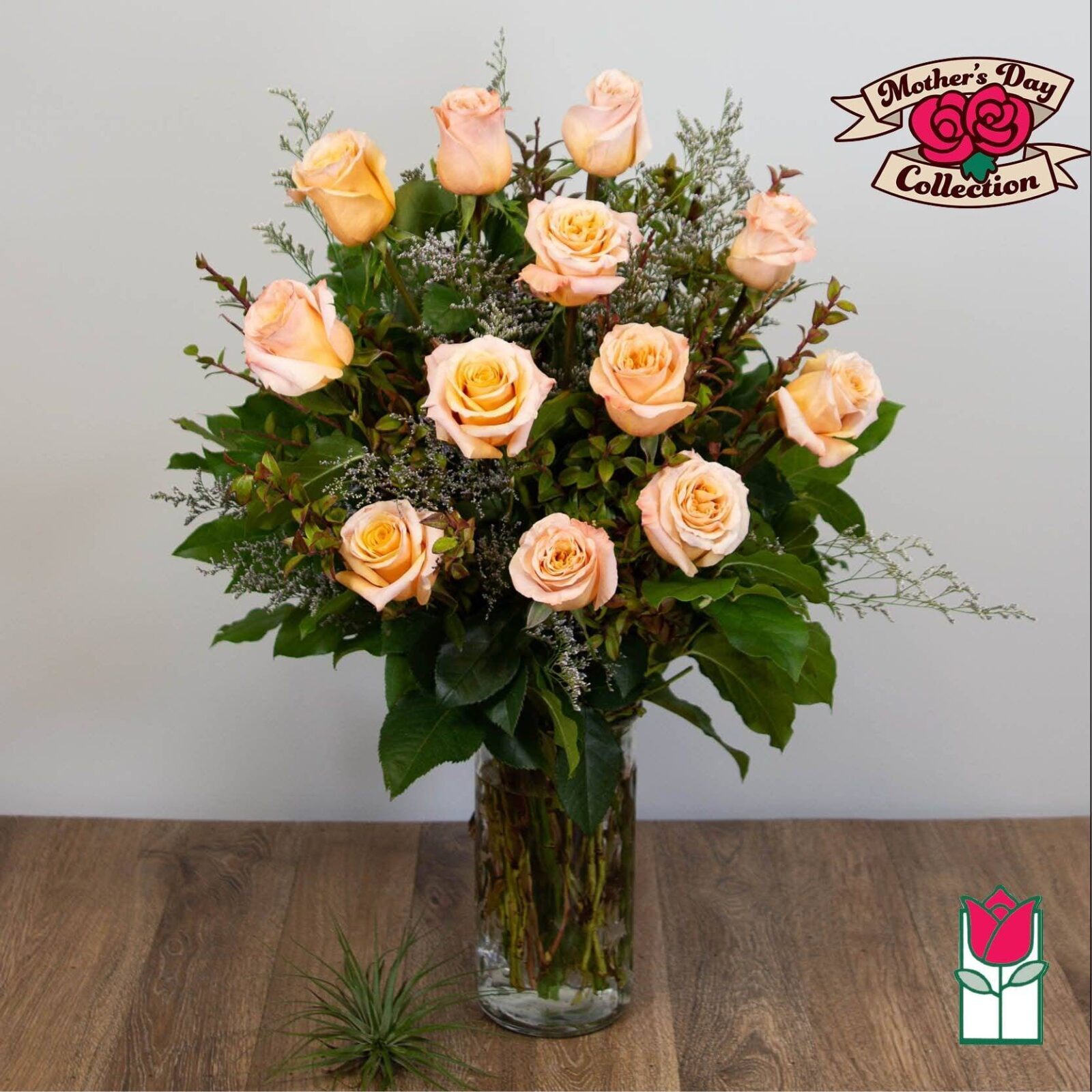Beretania's Extra Long Stem Peach Rose Masterpiece (Standard)