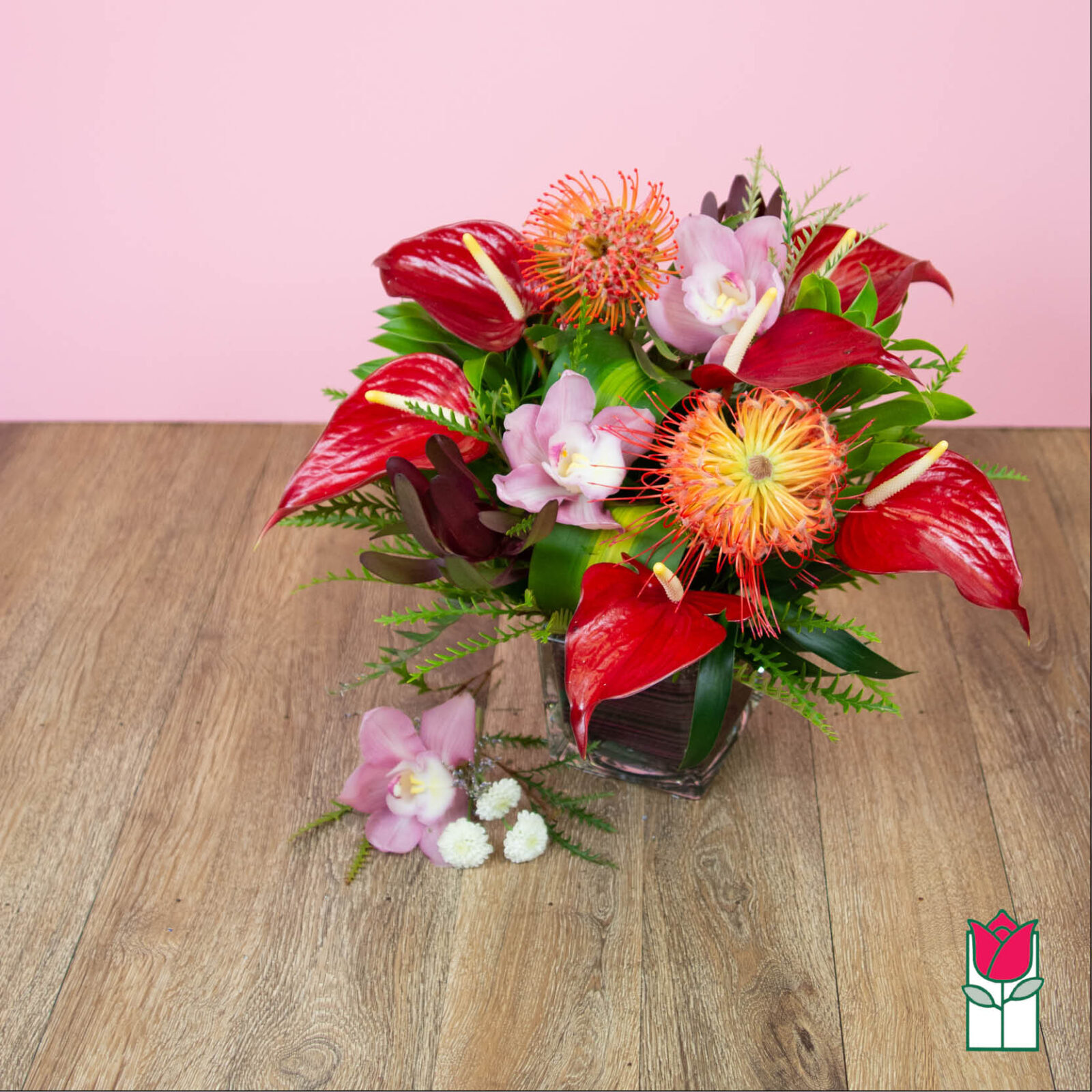 Beretania's Tropical Love [Tropical Varieties Vary] (Standard)