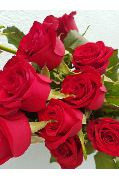 Red Roses with Foliage and Wrap
