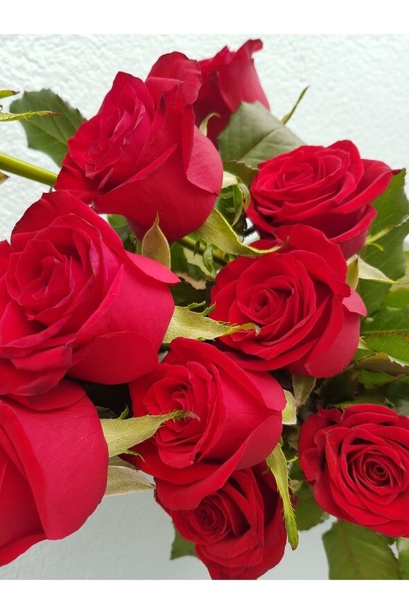 Red Roses with Foliage and Wrap (6 Red Rose)