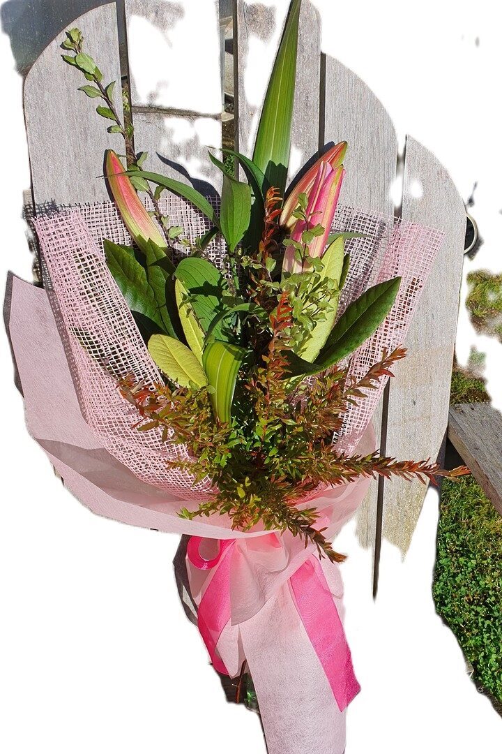Single Pink Lily stem