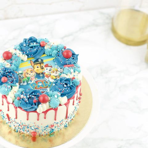 Drip cake with Paw Patrol Logo (6 - 10 people (15cm))