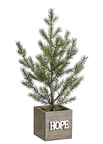 Silk Juniper Tree of Hope