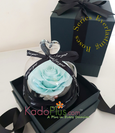 Eternity Tiffany Blue Rose