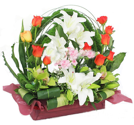 Blooming Garden