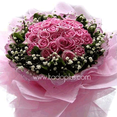 Pink Blooms