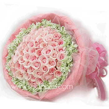 Pink Passion