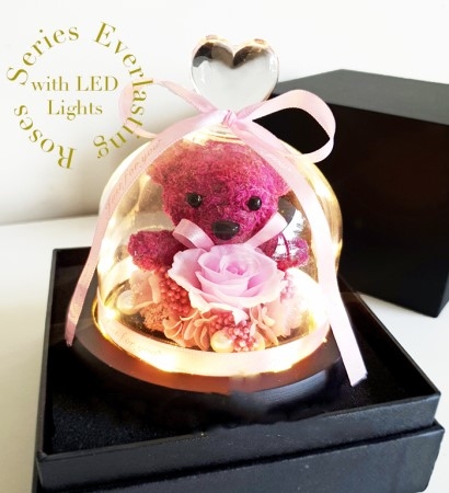Bear and Eternity Preserved Rose with LED