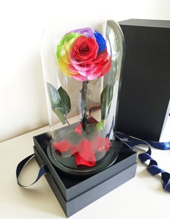 Everlasting Rainbow Rose Premium