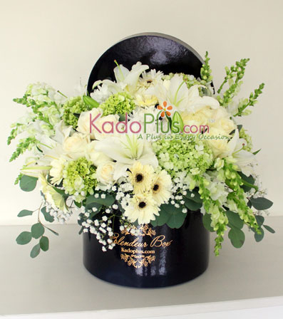 Splendeur Box: Monochrome