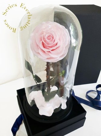Everlasting Pink Rose Premium