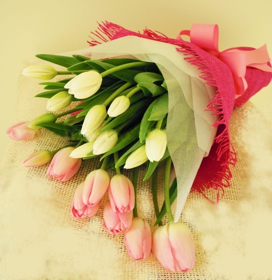 Buket Bunga Tulip: Bouquet of Tulips Kisses