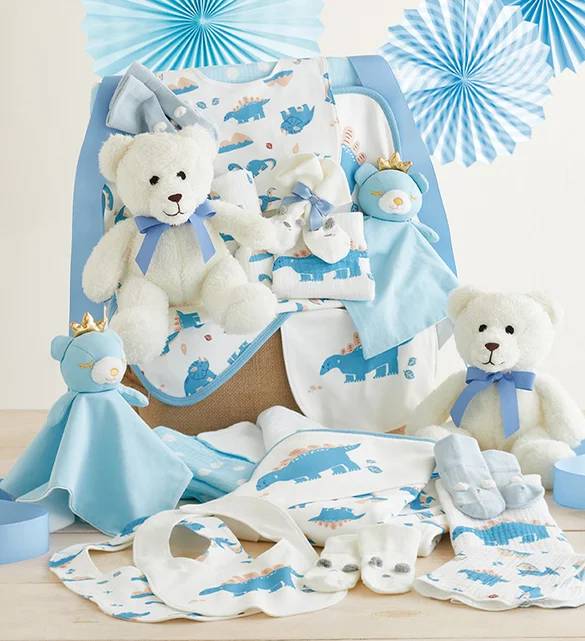 Newborn Boy Comfy Baby Gift Basket