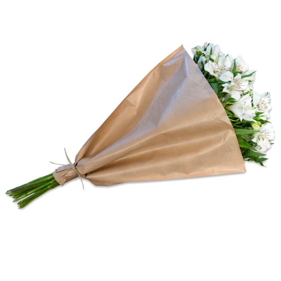 Bundle of white Alstroemeria