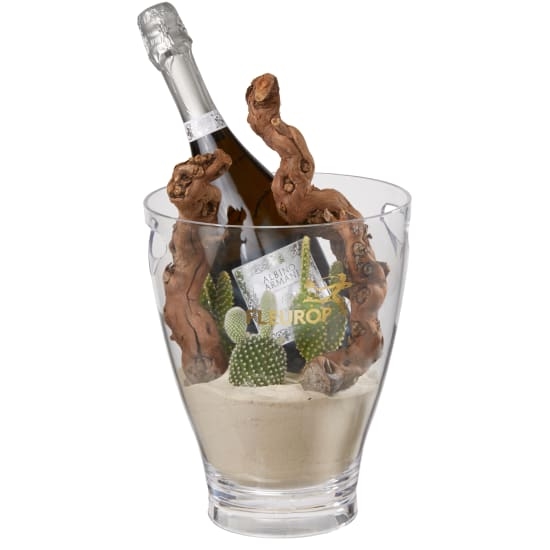 Desert Dream with Prosecco Albino Armani DOC (75 cl) incl. ice bucket
